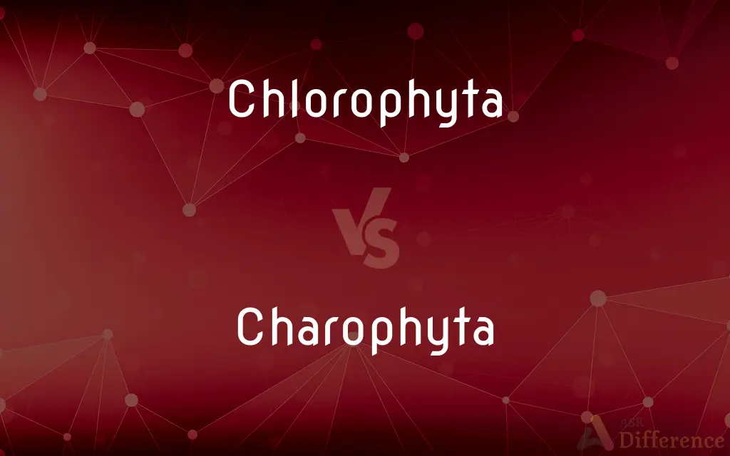 Chlorophyta vs. Charophyta — What's the Difference?