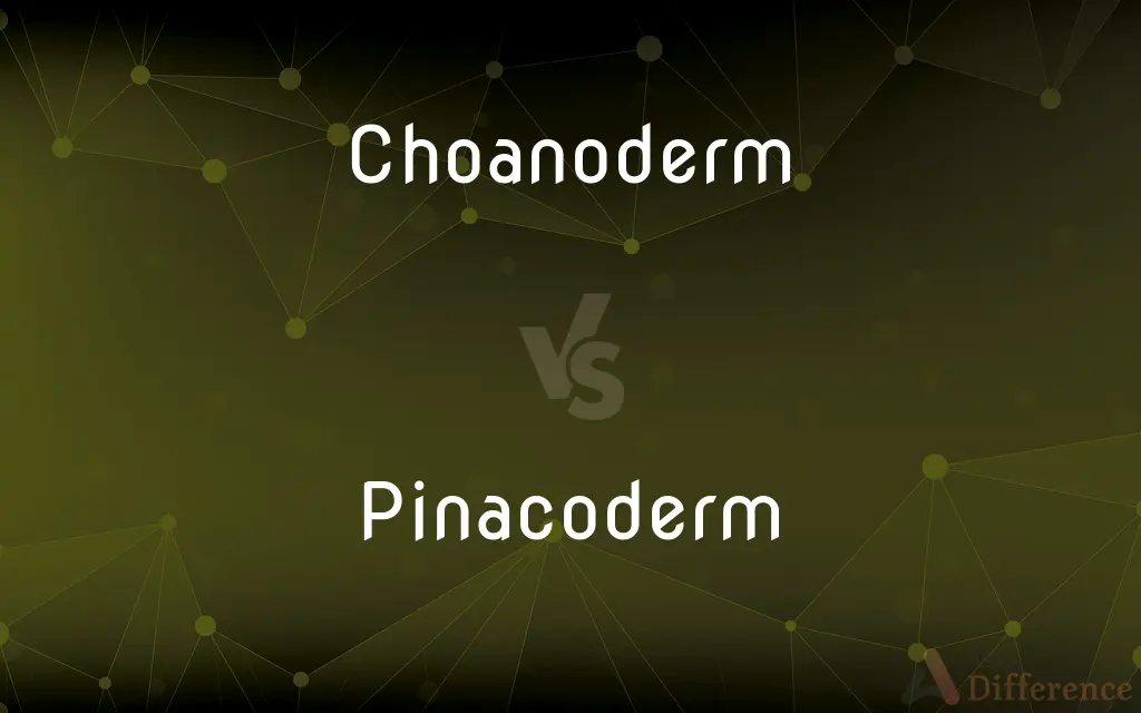 Choanoderm vs. Pinacoderm