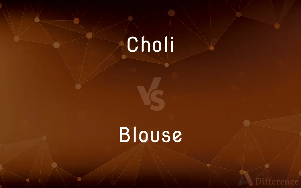 Choli vs. Blouse — What's the Difference?