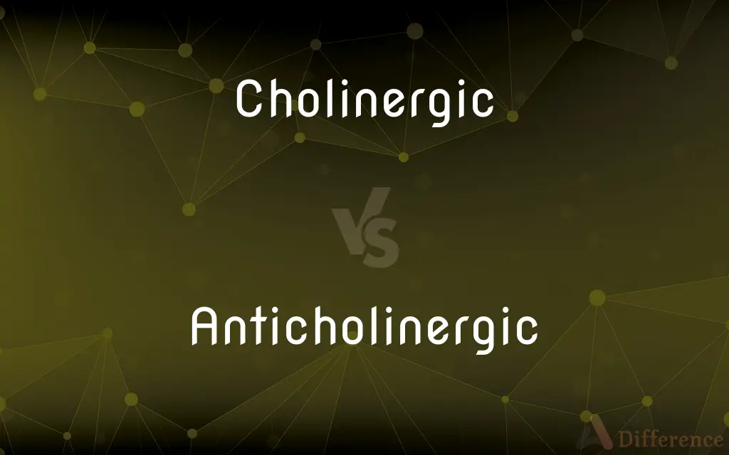 Cholinergic vs. Anticholinergic — What's the Difference?