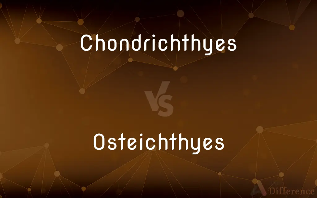 Chondrichthyes vs. Osteichthyes — What's the Difference?