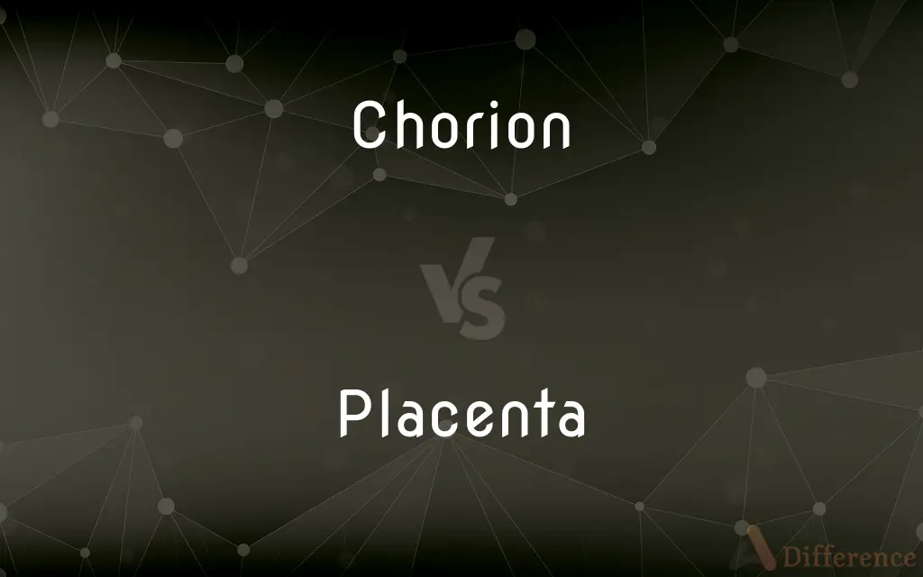 Chorion vs. Placenta — What's the Difference?
