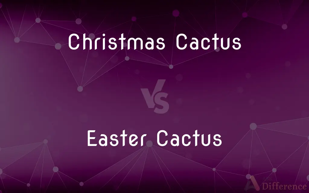 Christmas Cactus vs. Easter Cactus — What's the Difference?