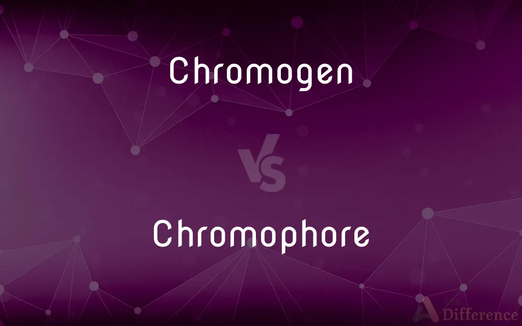 Chromogen vs. Chromophore — What's the Difference?