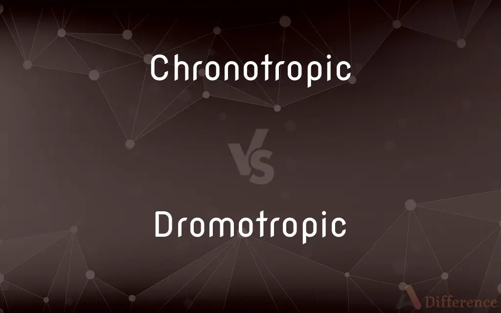 Chronotropic vs. Dromotropic — What's the Difference?