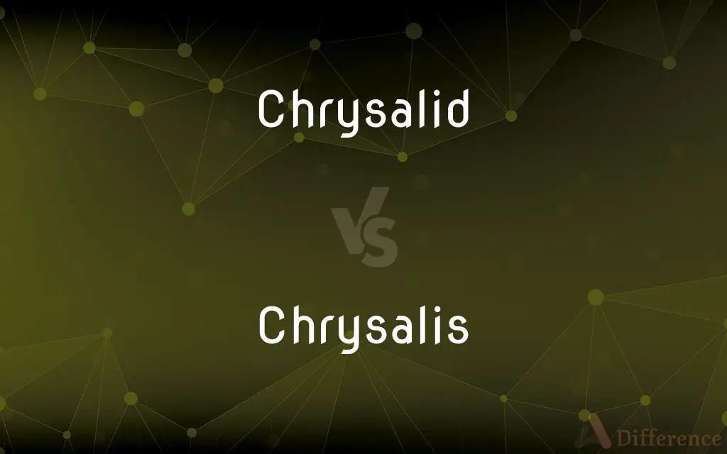 Chrysalid vs. Chrysalis — What's the Difference?