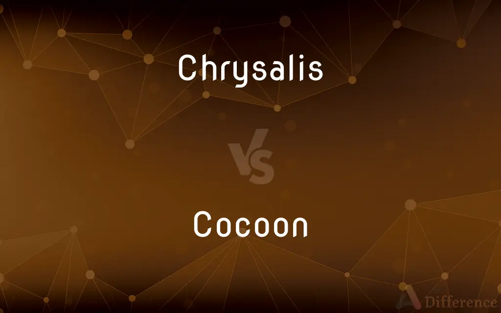 Chrysalis vs. Cocoon — What's the Difference?