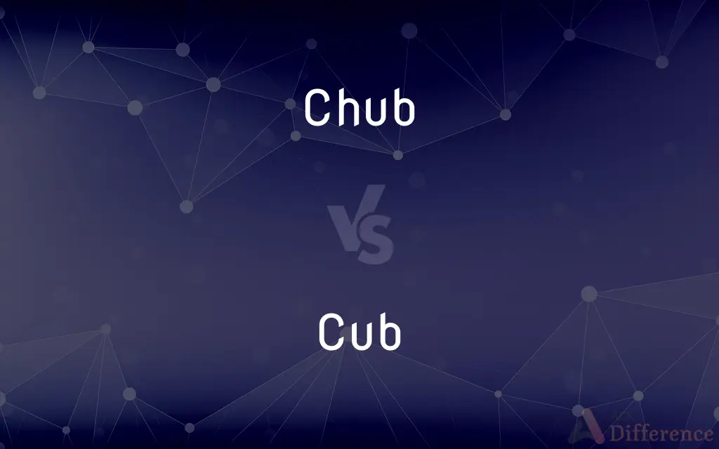 Chub vs. Cub — What's the Difference?
