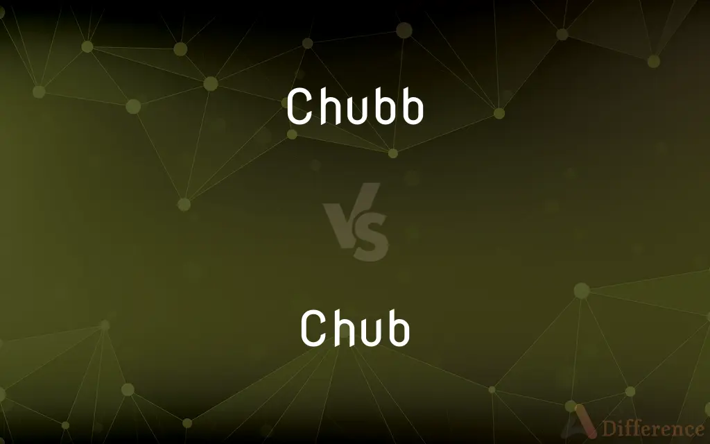 Chubb vs. Chub — What's the Difference?