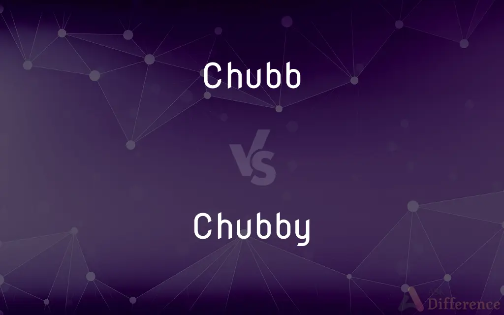 Chubb vs. Chubby — What's the Difference?