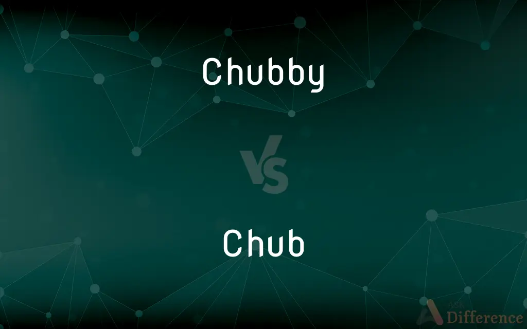 Chubby vs. Chub — What's the Difference?