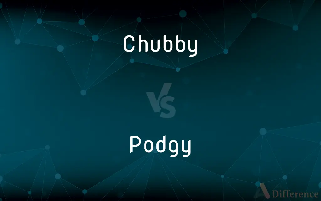 Chubby vs. Podgy — What's the Difference?