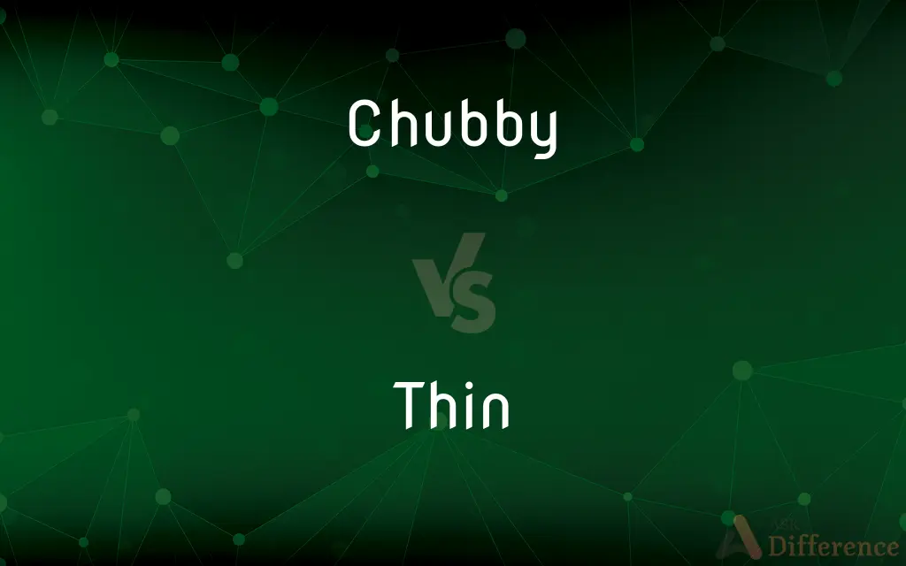 Chubby vs. Thin — What's the Difference?