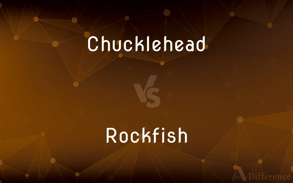 Chucklehead vs. Rockfish