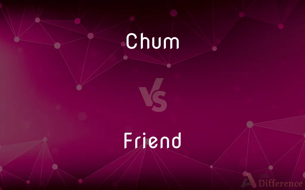 Chum vs. Friend — What's the Difference?