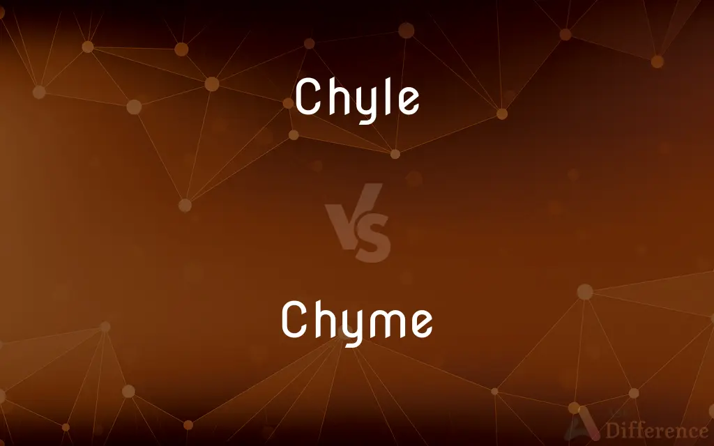 Chyle vs. Chyme — What's the Difference?