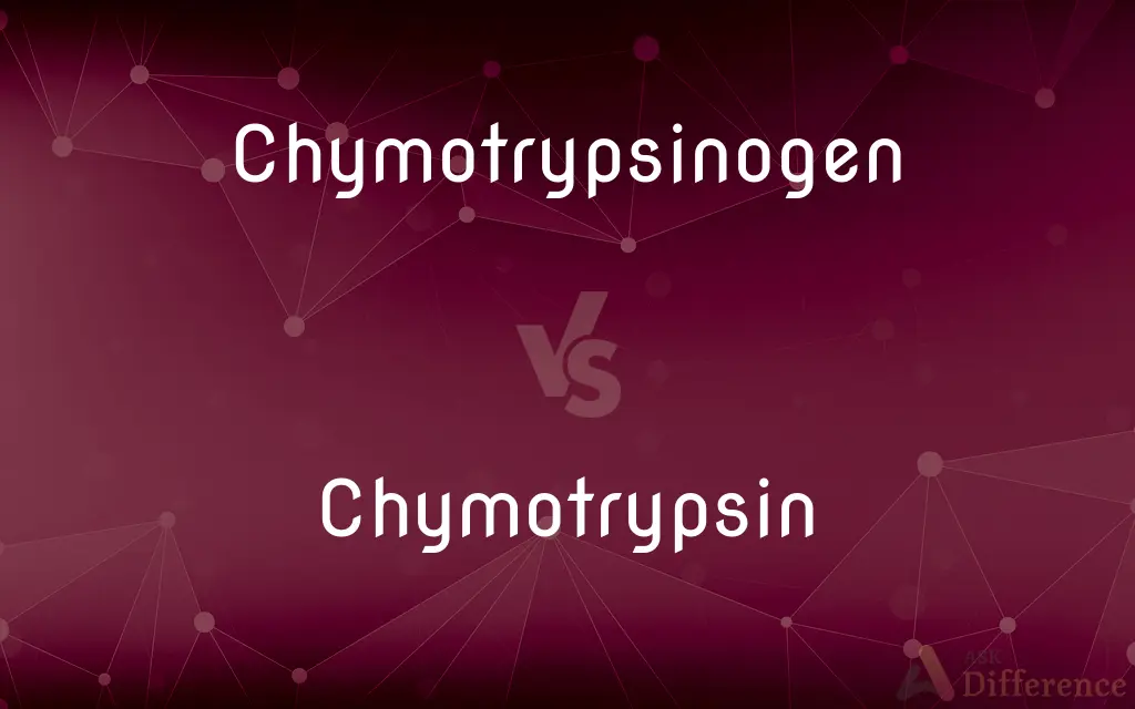 Chymotrypsinogen vs. Chymotrypsin — What's the Difference?