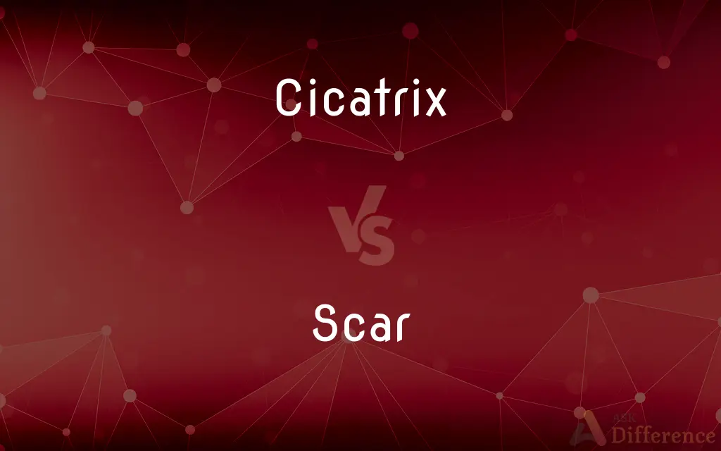 Cicatrix vs. Scar — What's the Difference?