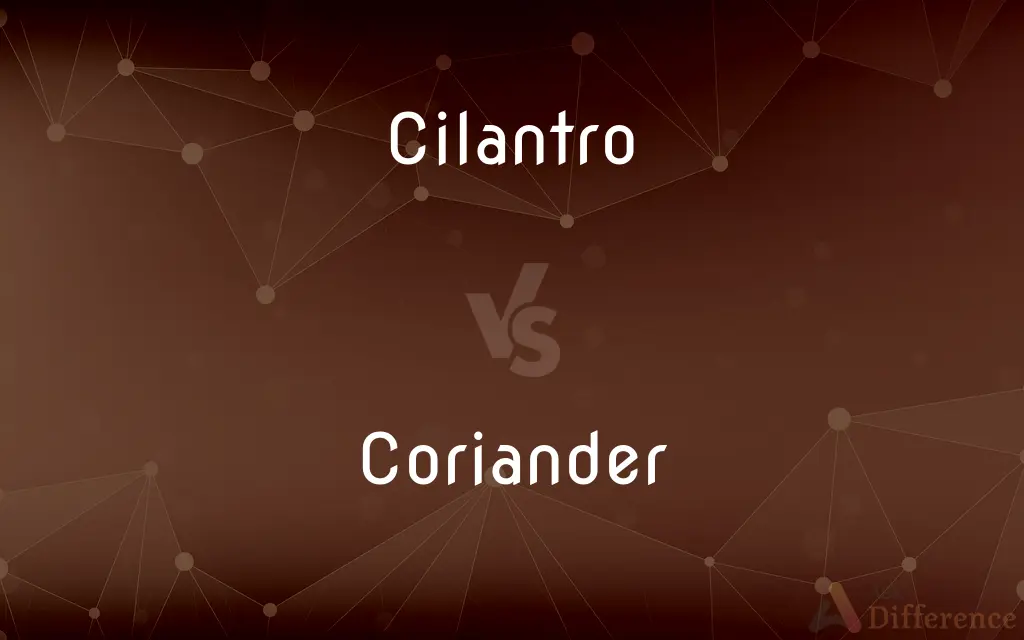 Cilantro vs. Coriander — What's the Difference?
