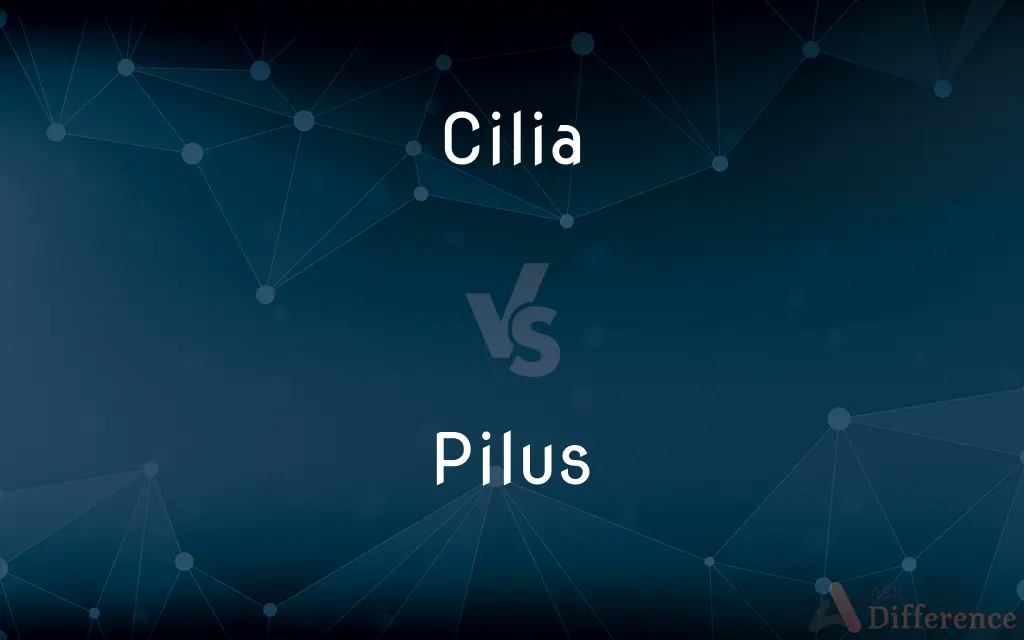 Cilia vs. Pilus — What's the Difference?