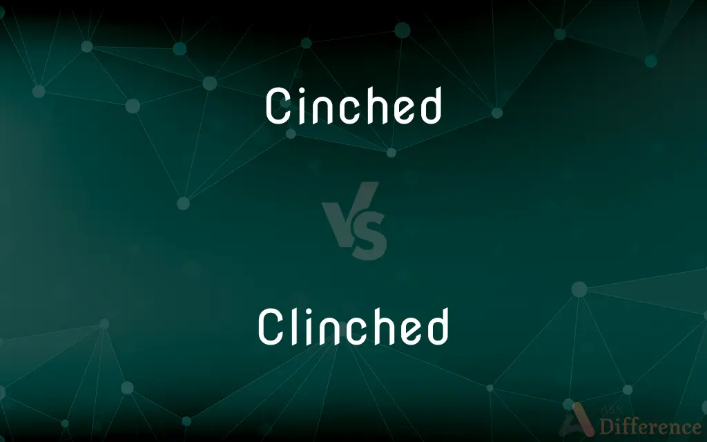 Cinched vs. Clinched — What's the Difference?