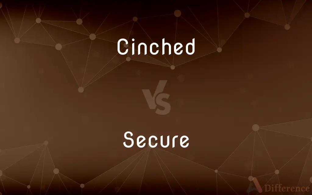 Cinched vs. Secure — What's the Difference?