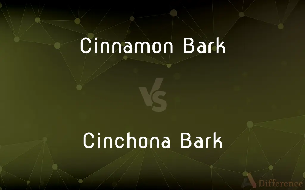 Cinnamon Bark vs. Cinchona Bark — What's the Difference?