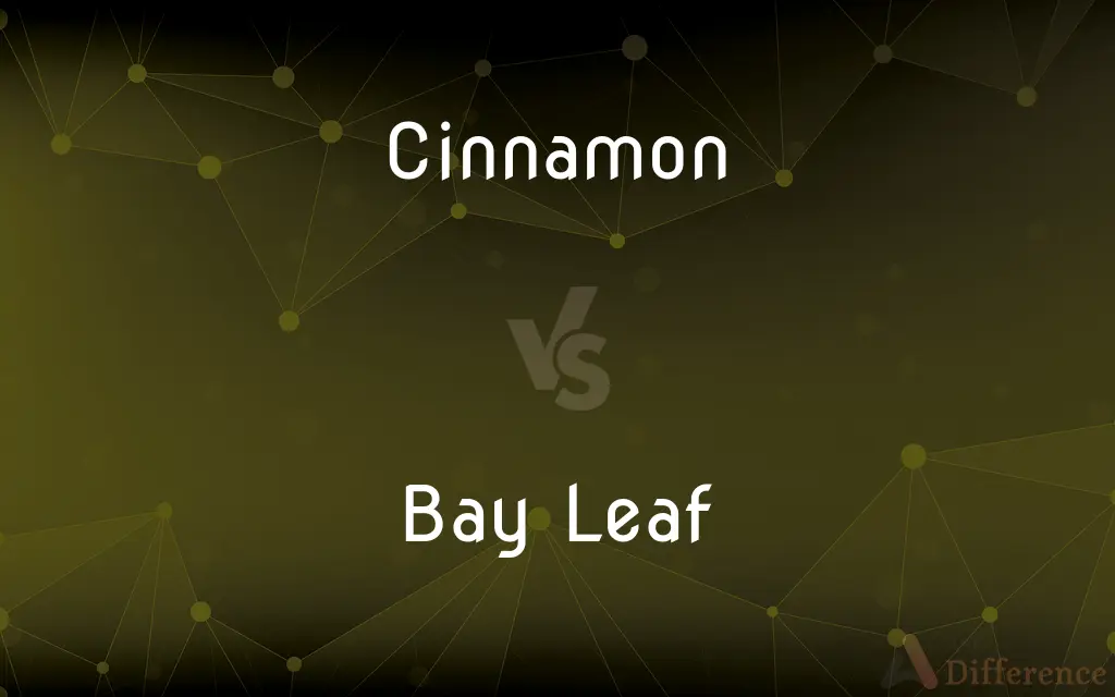 Cinnamon vs. Bay Leaf — What's the Difference?