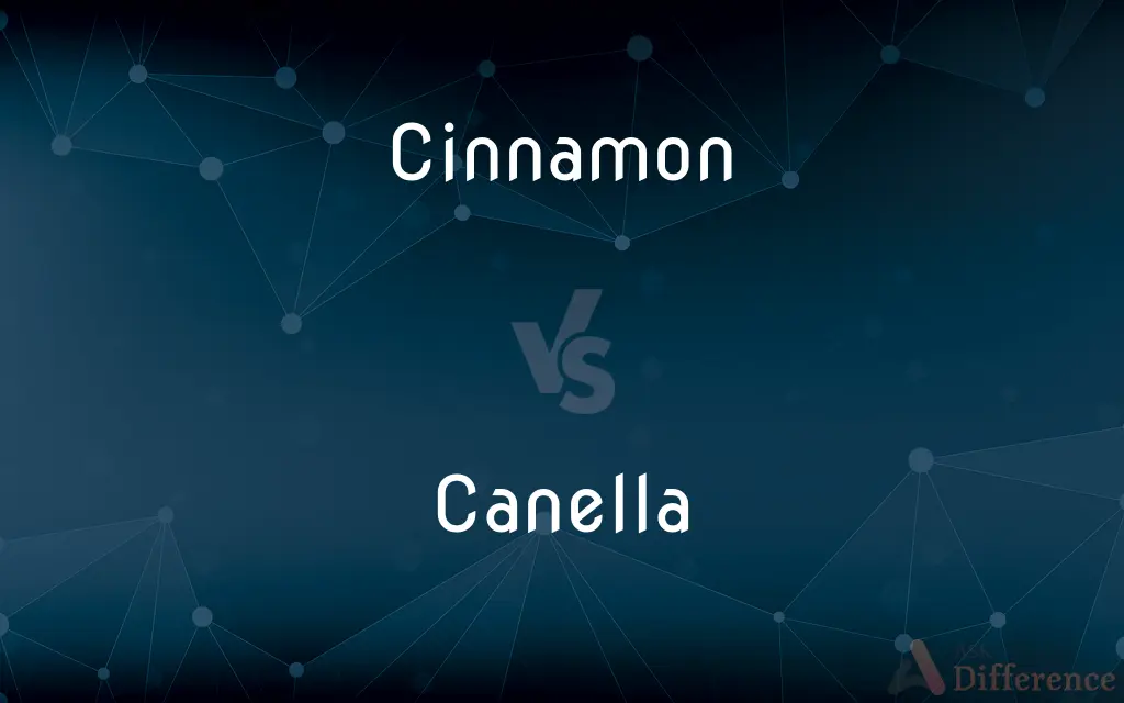 Cinnamon vs. Canella — What's the Difference?