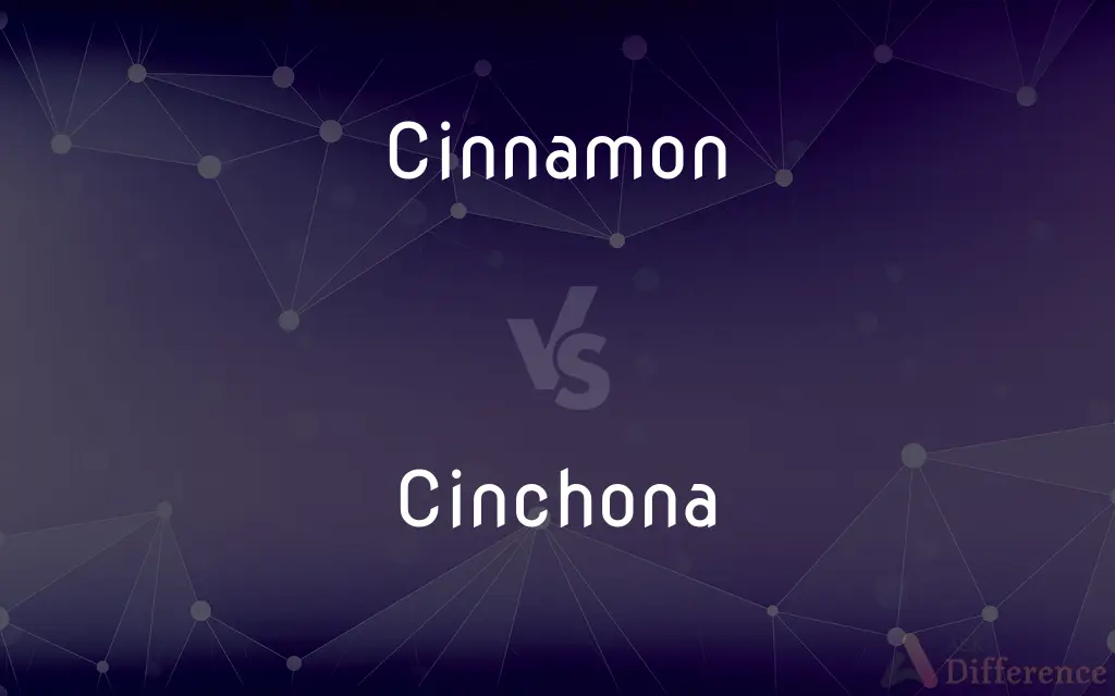 Cinnamon vs. Cinchona — What's the Difference?