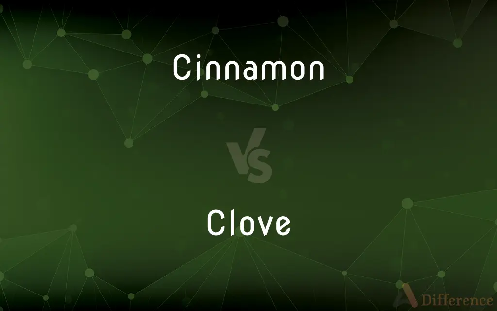 Cinnamon vs. Clove — What's the Difference?