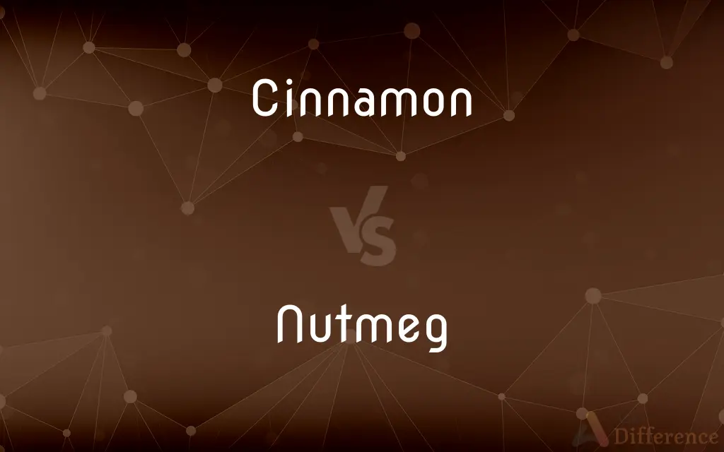 Cinnamon vs. Nutmeg — What's the Difference?