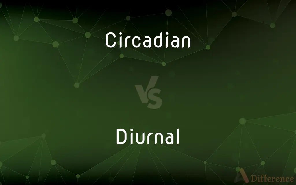 Circadian vs. Diurnal — What's the Difference?