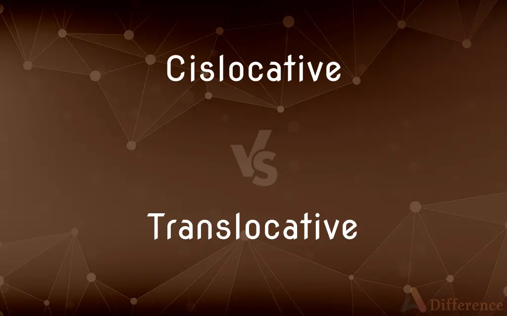 Cislocative vs. Translocative — What's the Difference?