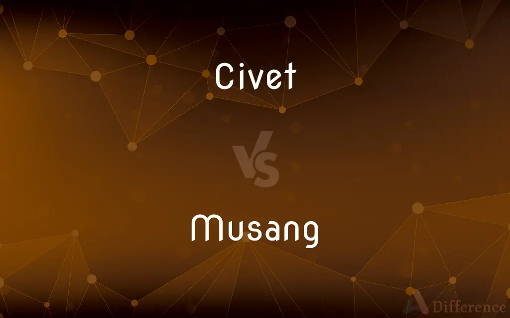 Civet vs. Musang — What's the Difference?
