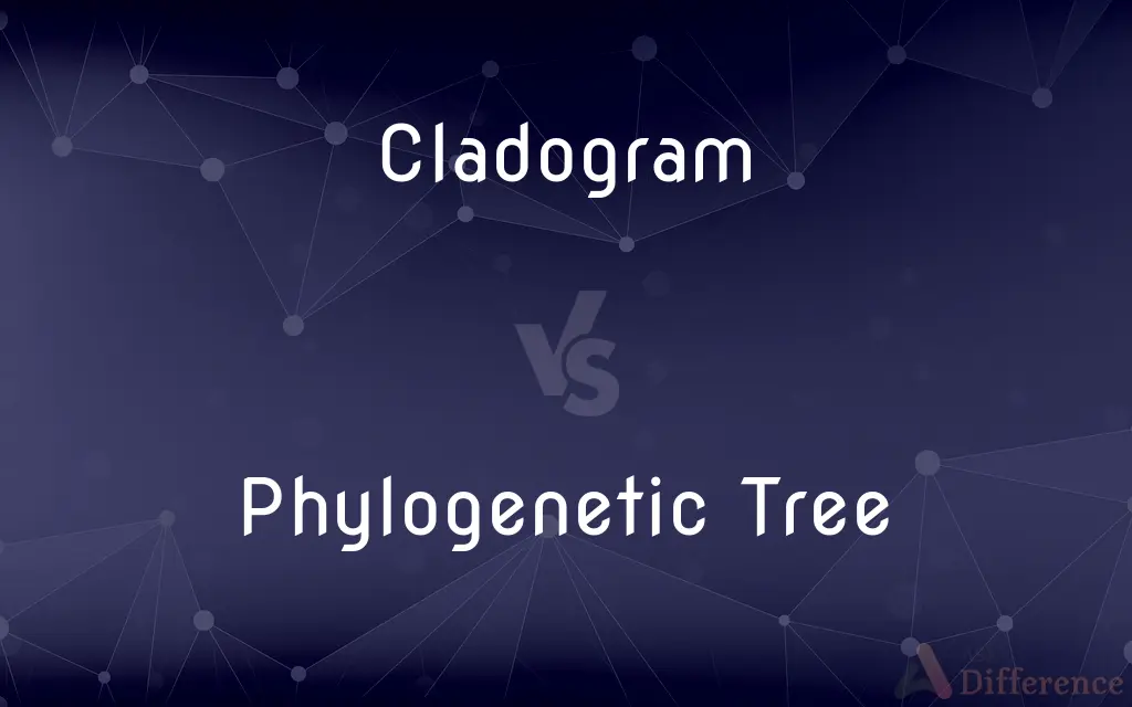 Cladogram vs. Phylogenetic Tree — What's the Difference?