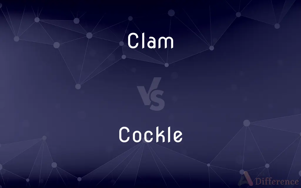 Clam vs. Cockle — What's the Difference?