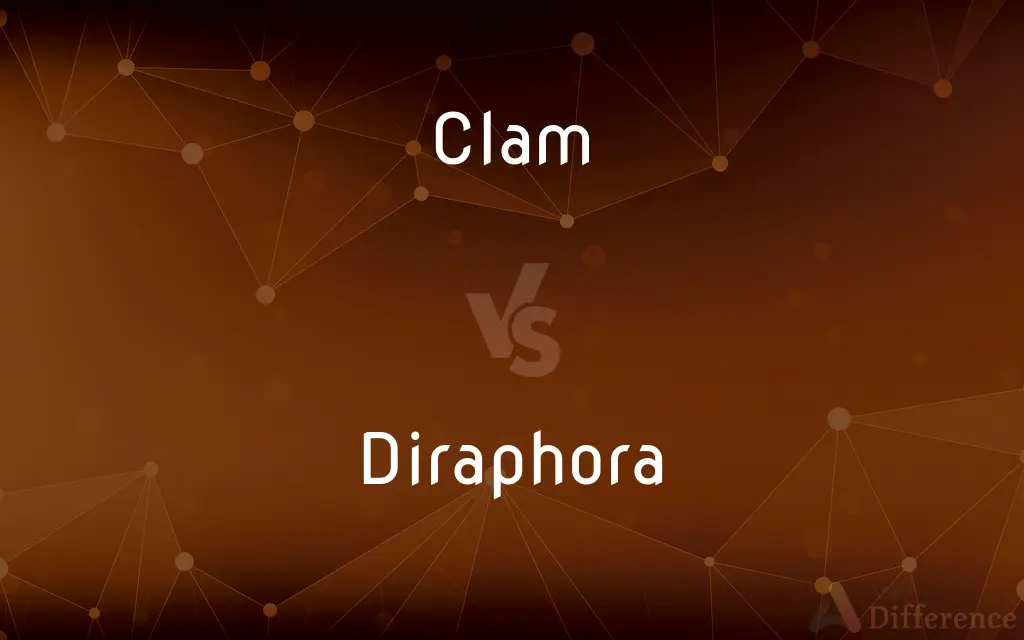 Clam vs. Diraphora — What's the Difference?