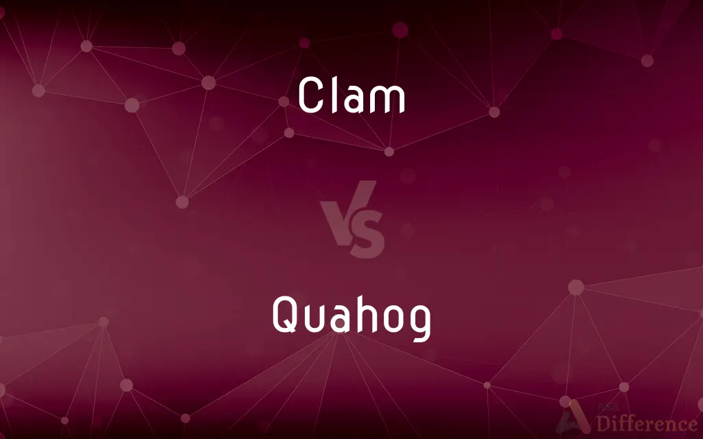 Clam vs. Quahog — What's the Difference?