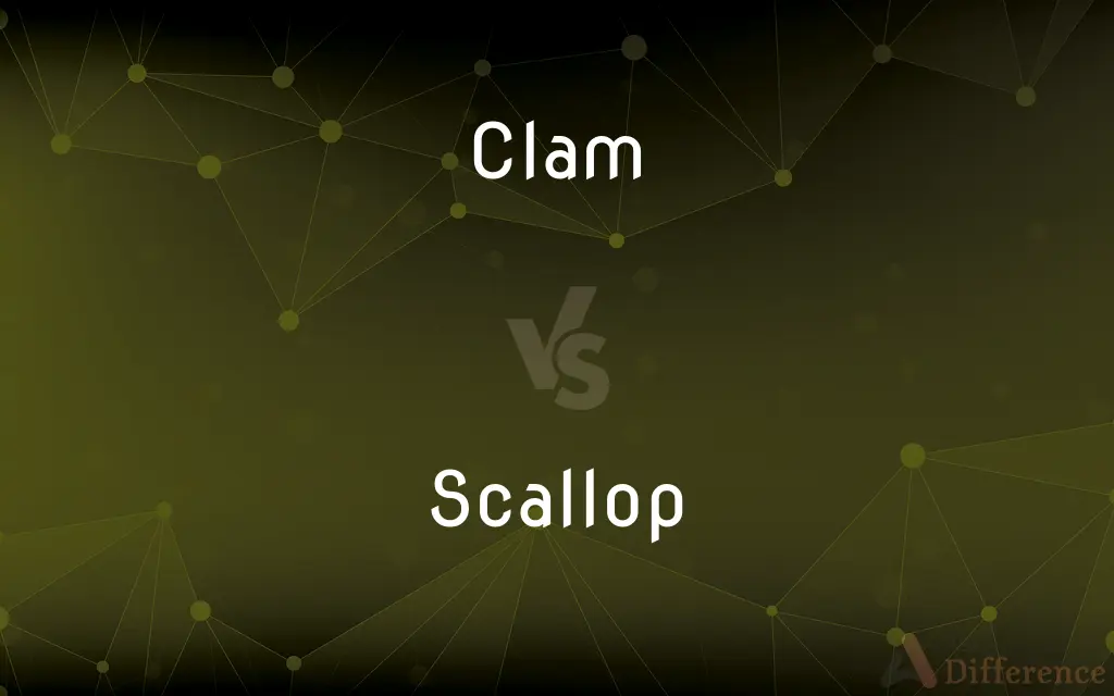 Clam vs. Scallop