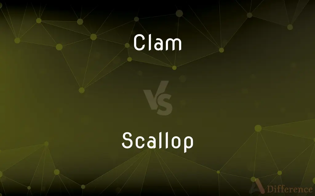 Clam vs. Scallop — What's the Difference?