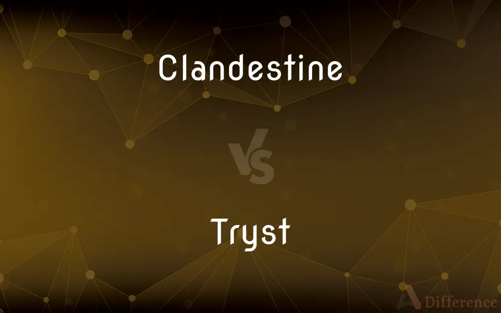 Clandestine vs. Tryst — What's the Difference?