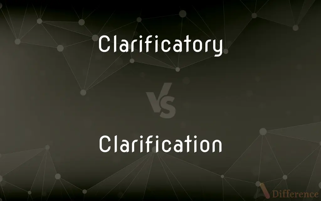 Clarificatory vs. Clarification — What's the Difference?
