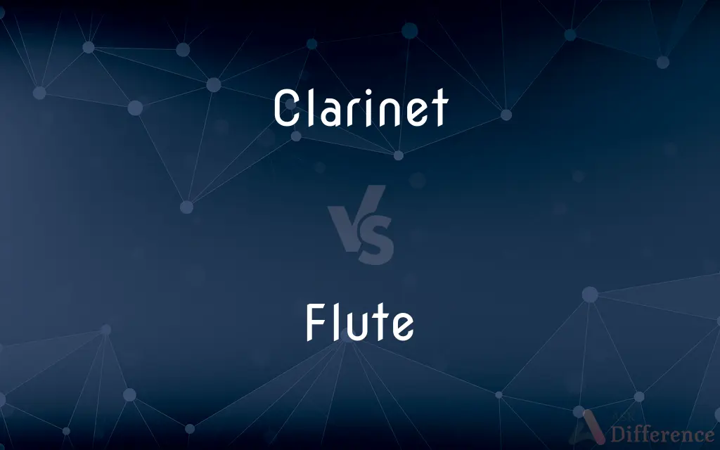 Clarinet vs. Flute — What's the Difference?