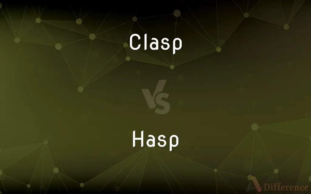 Clasp vs. Hasp — What's the Difference?