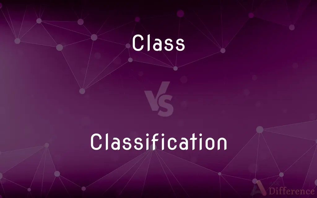 Class vs. Classification — What's the Difference?