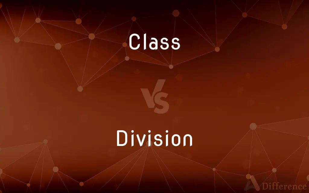 Class vs. Division — What's the Difference?