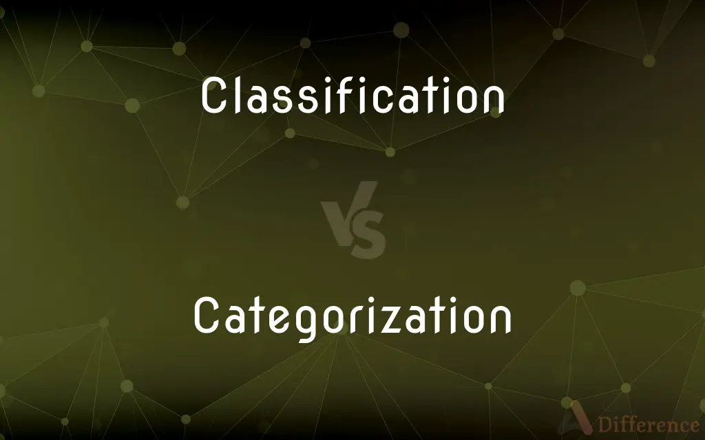 Classification vs. Categorization — What's the Difference?