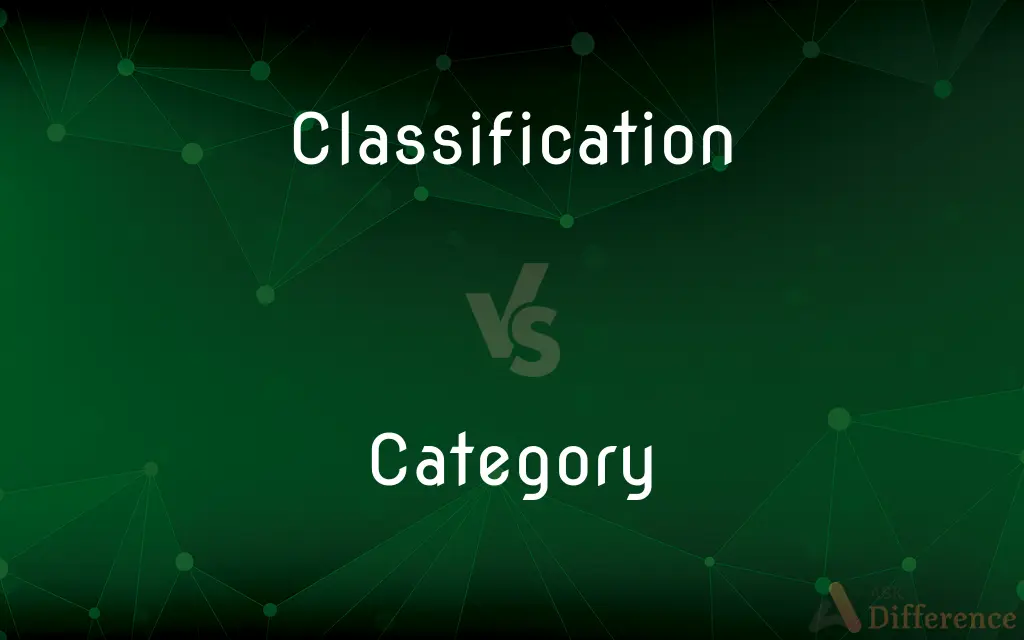 Classification vs. Category — What's the Difference?
