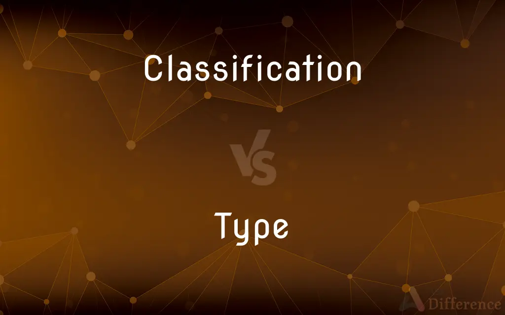 Classification vs. Type — What's the Difference?